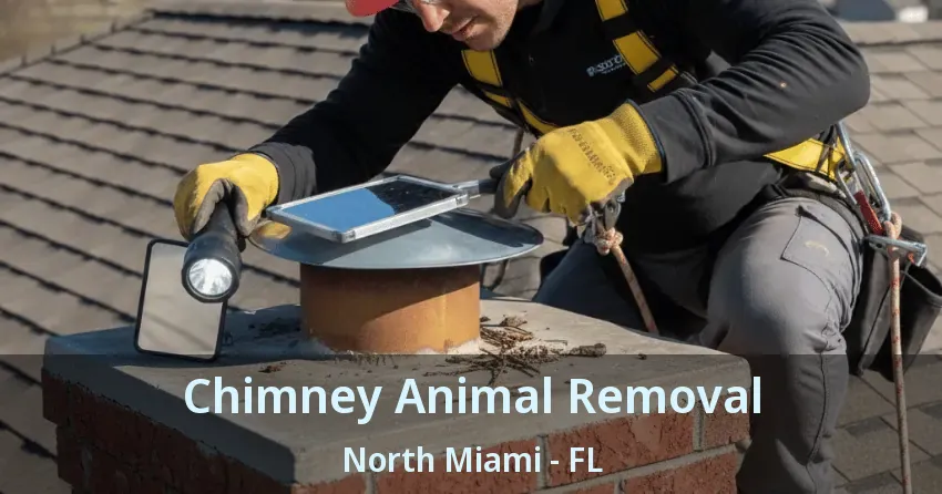 Chimney Animal Removal North Miami - FL
