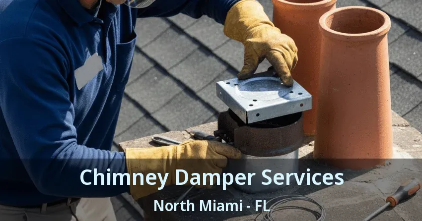 Chimney Damper Services North Miami - FL