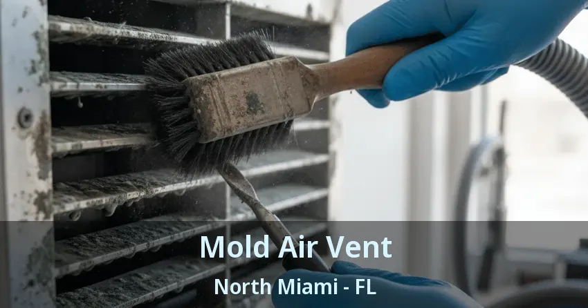 Mold Air Vent North Miami - FL