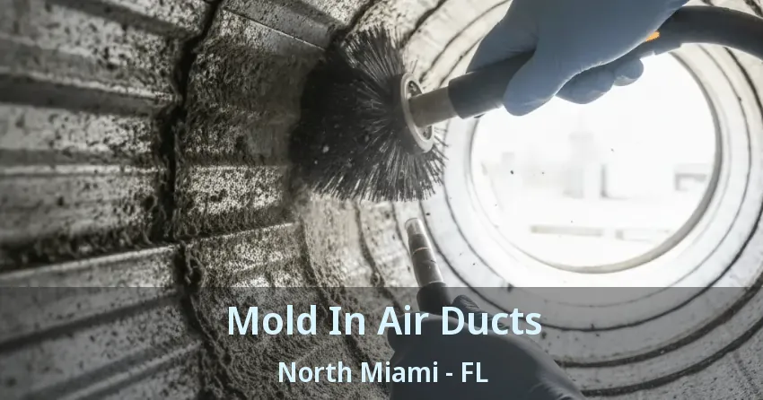 Mold In Air Ducts North Miami - FL