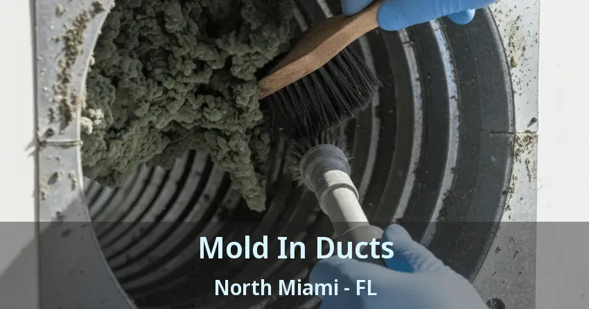 Mold In Ducts North Miami - FL Mold In Ducts North Miami - FL