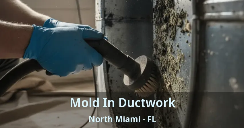 Mold In Ductwork North Miami - FL
