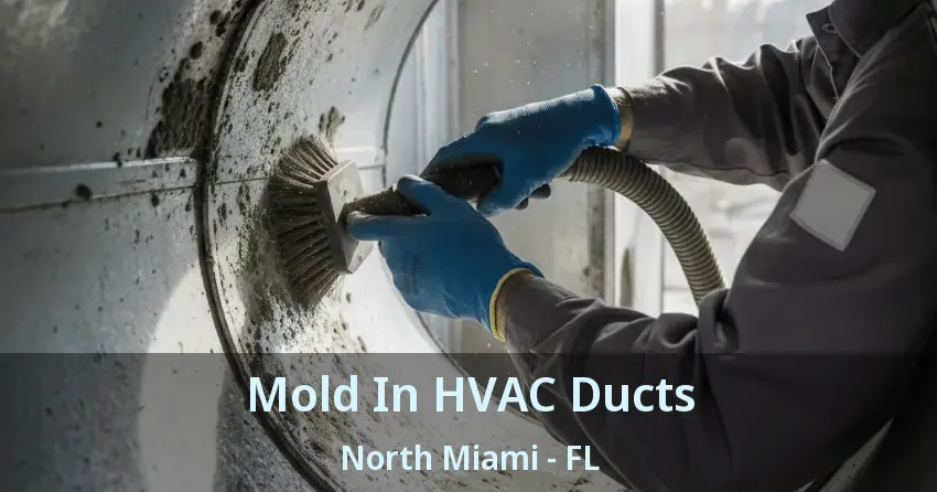 Mold In HVAC Ducts North Miami - FL